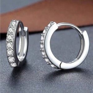 Elegant Silver Hoop Earrings